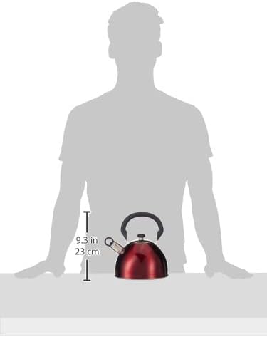 Stainless Steel Whistling Tea Kettle