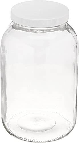 1 Gallon Glass Jar with Lizet Lid