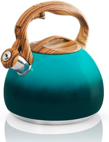 Elegant Design Stove Top Tea Kettle