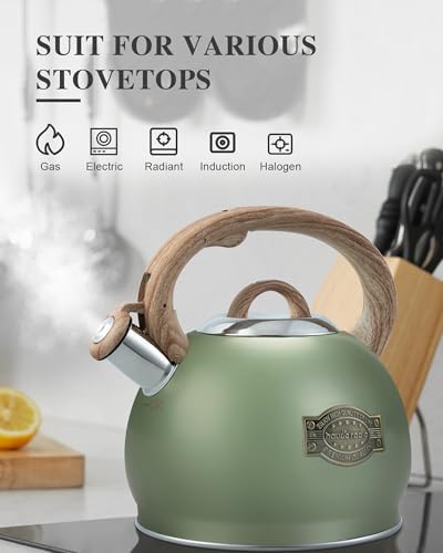 Sturdy 27 Quart Stove-Top Tea Kettle