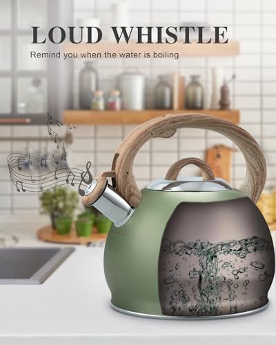 Sturdy 27 Quart Stove-Top Tea Kettle