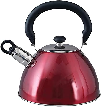 Stainless Steel Whistling Tea Kettle