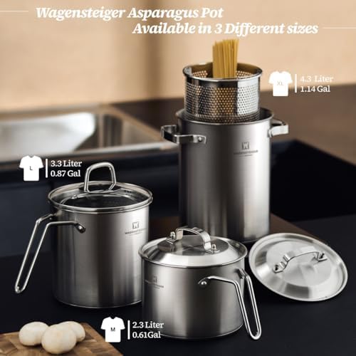 Premium Stainless Steel Asparagus Steamer Pot Large 43L
