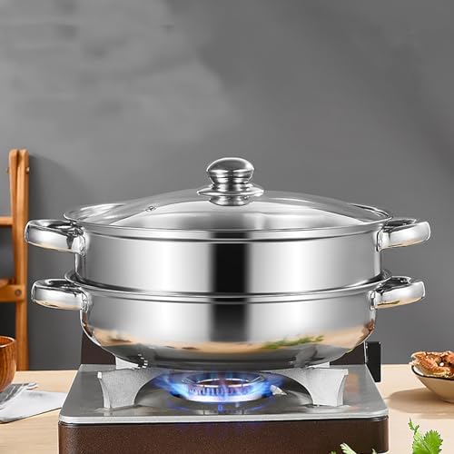 ZENFUN 2-Tier Steamer Pot Set with Glass Lid and Double Handle