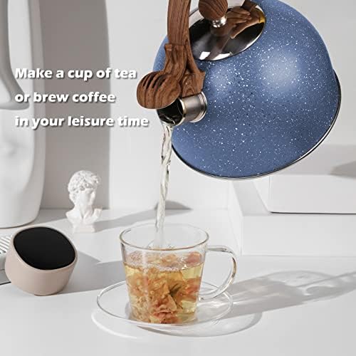 Chic 26 Quart Stainless Steel Kettle with Whistle