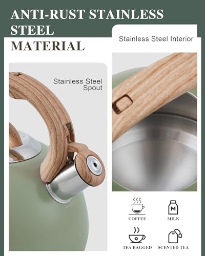 Sturdy 27 Quart Stove-Top Tea Kettle