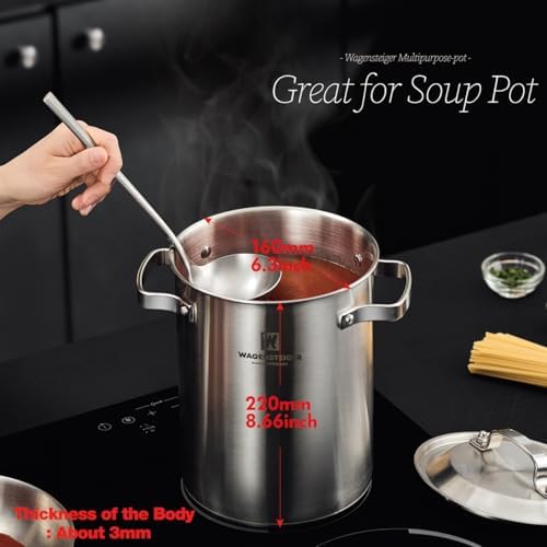 Premium Stainless Steel Asparagus Steamer Pot Large 43L