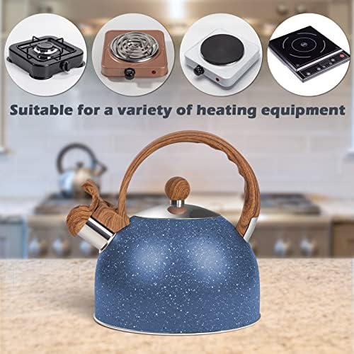 Chic 26 Quart Stainless Steel Kettle with Whistle