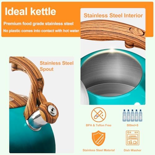 Elegant Design Stove Top Tea Kettle