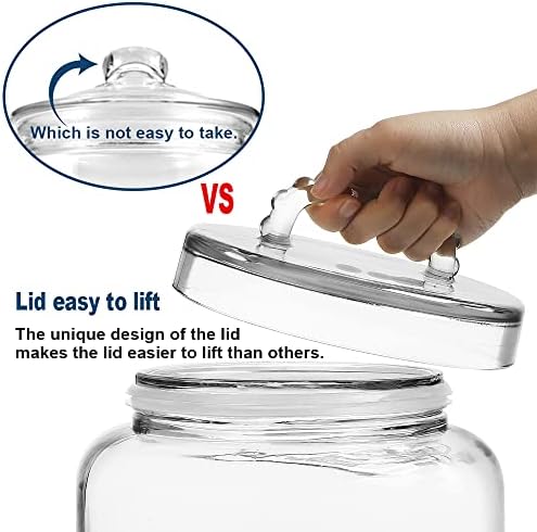 3 Gallon Glass Jar with Lid