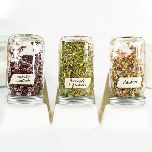 Eco-Friendly Mason Jar Lids for Sprouting Cooking