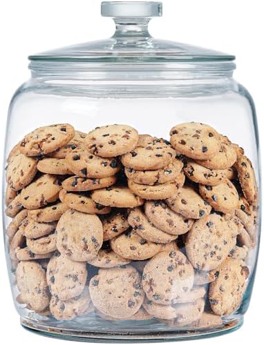 Daitouge25 Gallon Glass Jars