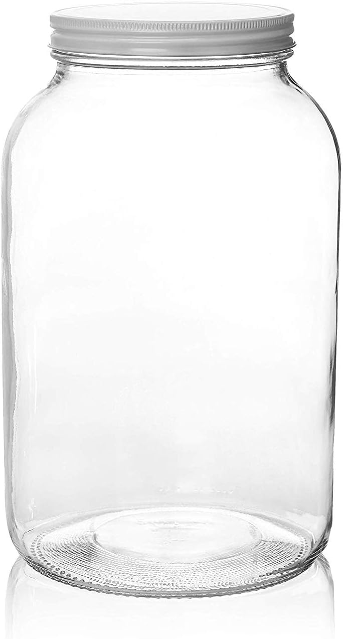 Kitchentoolz 1-Gallon Glass Jar for Fermenting Preserving