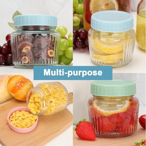 CehomiElegant Durable Glass Mason Jars 6 Pack