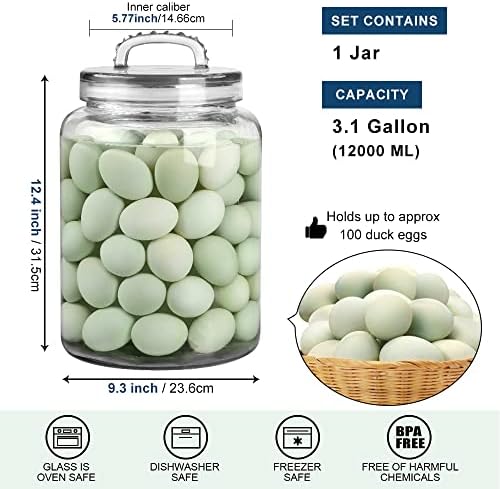 3 Gallon Glass Jar with Lid