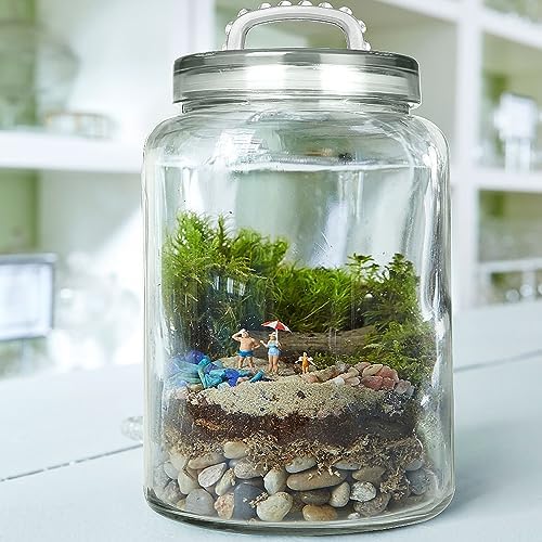 3 Gallon Glass Jar with Lid