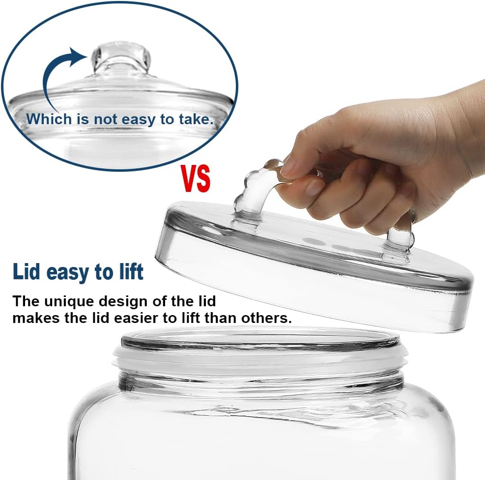 3 Gallon Glass Jar with Lid
