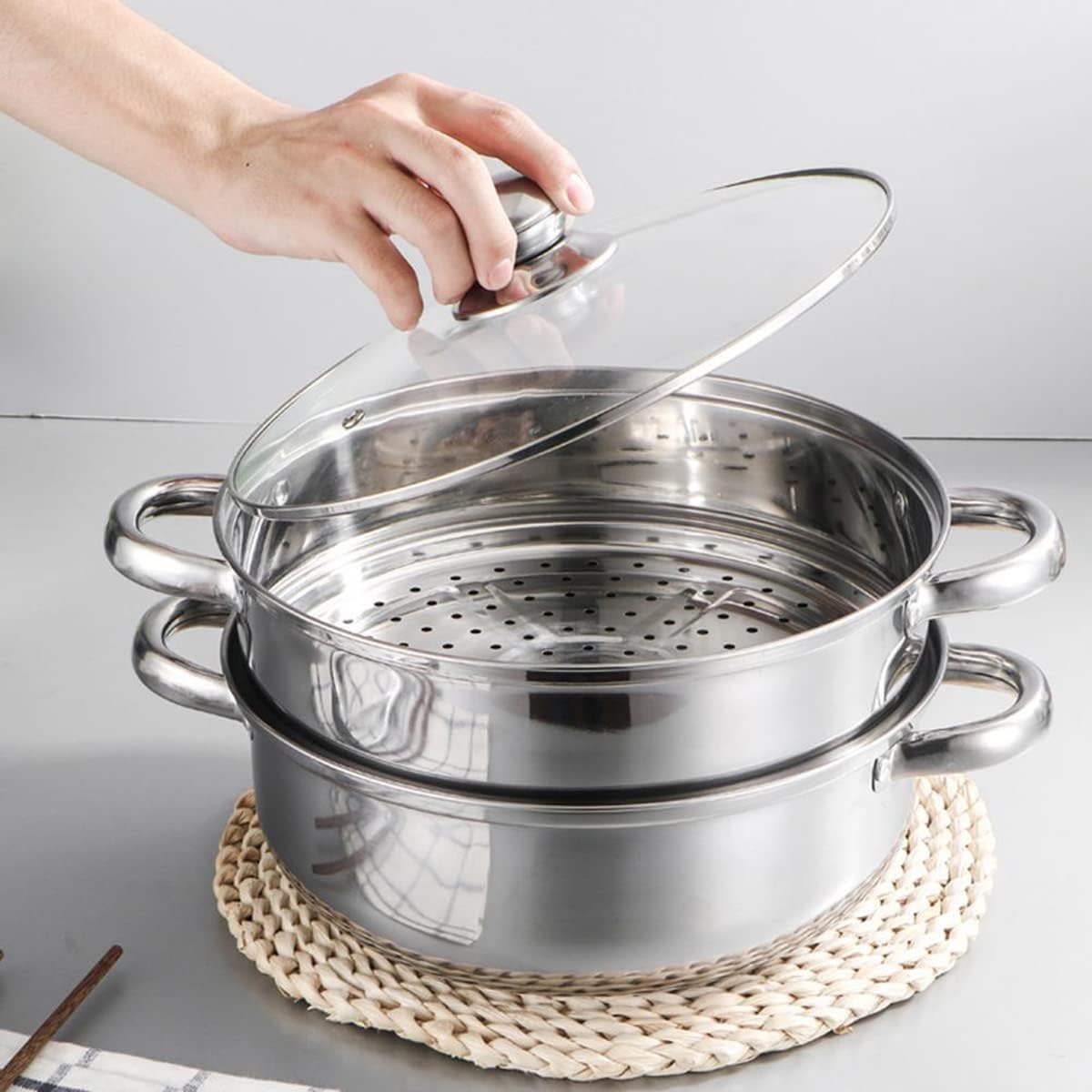 Steamle Pot Multipurpose Cooking Companion
