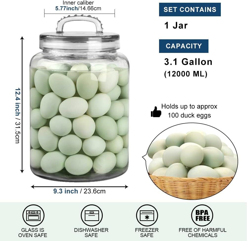 3 Gallon Glass Jar with Lid