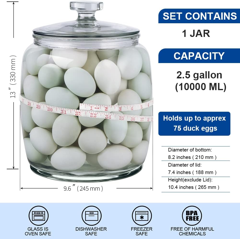 Daitouge25 Gallon Glass Jars