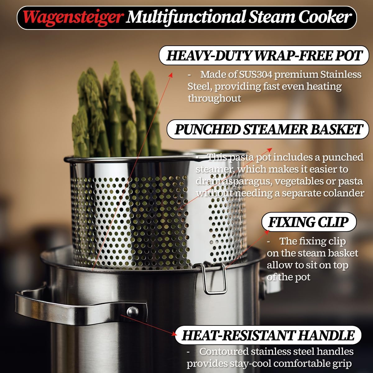 Premium Stainless Steel Asparagus Steamer Pot Large 43L