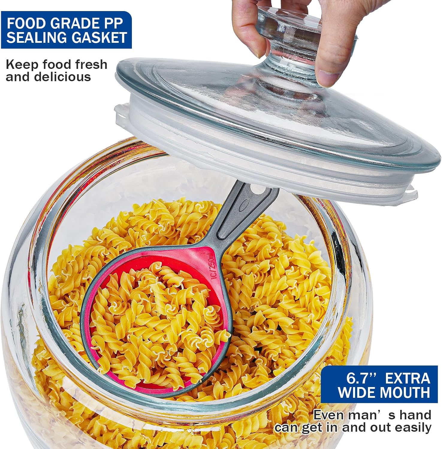 Daitouge25 Gallon Glass Jars