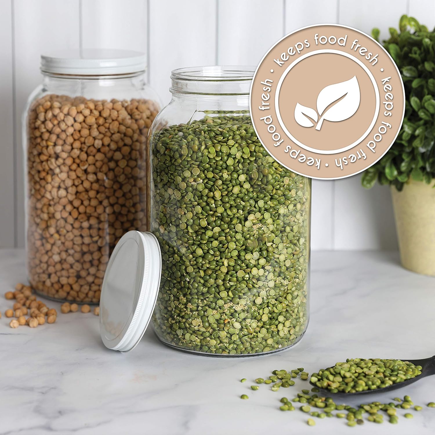 Kitchentoolz 1-Gallon Glass Jar for Fermenting Preserving